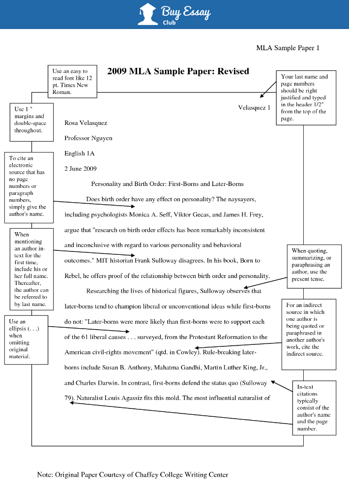 How To Start Off A Law Essay   MLA Sample Paper 