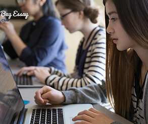 Can you buy essays online